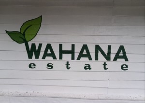 wahana1